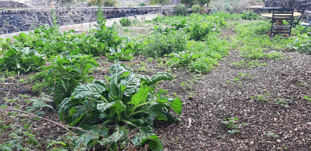 Casa Rural Finca Las Dulces Chío Zewnętrze zdjęcie