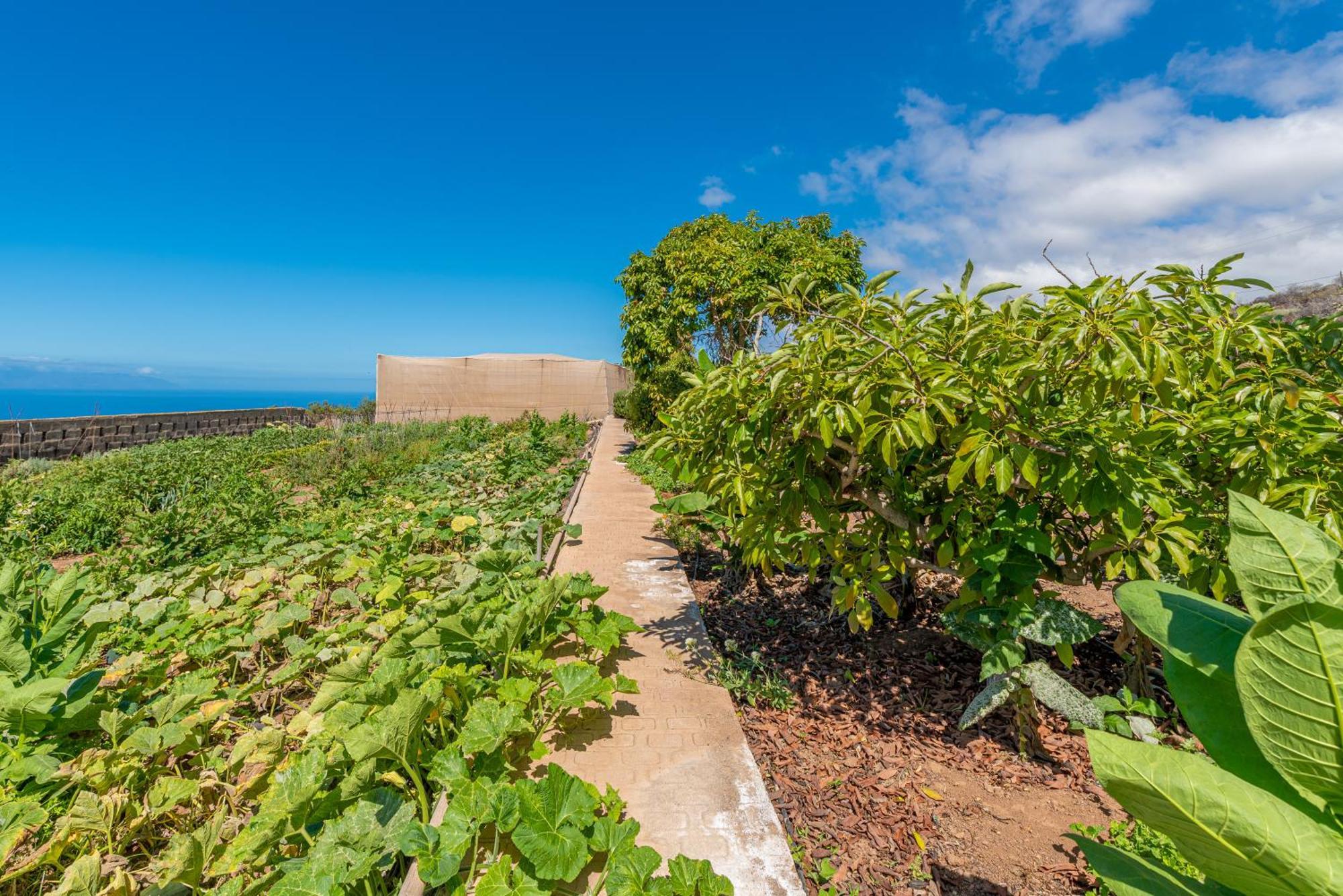 Willa Casa Rural Finca Las Dulces Chío Zewnętrze zdjęcie